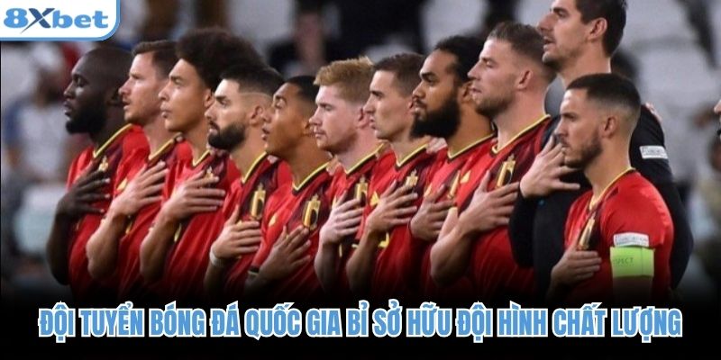 Đội tuyển bóng đá quốc gia bỉ sở hữu đội hình chất lượng