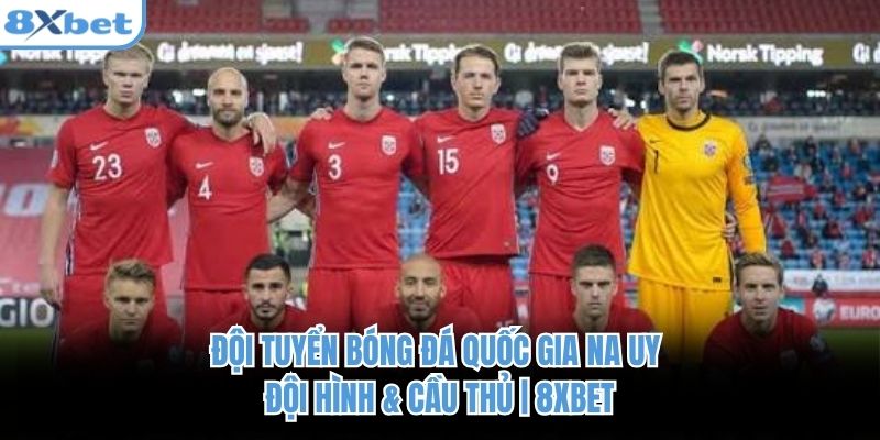 Đội tuyển bóng đá quốc gia Na Uy