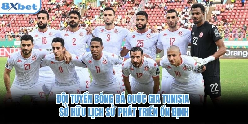 Đội tuyển bóng đá quốc gia Tunisia sở hữu lịch sử phát triển ổn định