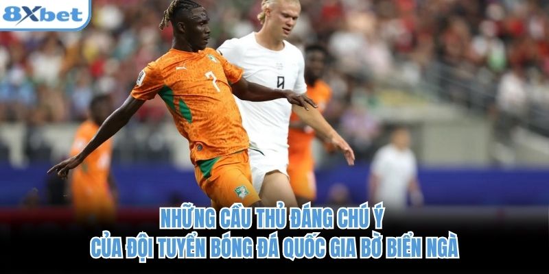 Những cầu thủ đáng chú ý của đội tuyển bóng đá quốc gia Bờ Biển Ngà